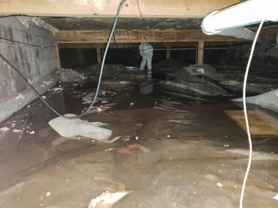 Professional Water Damage Team