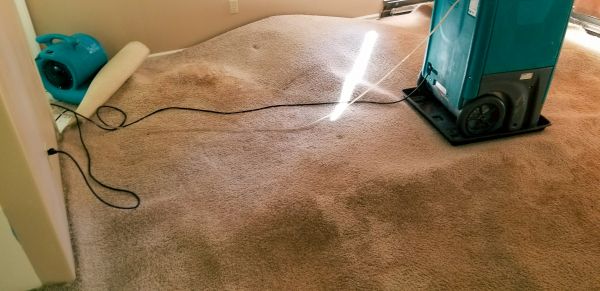 Cost of Carpet Water Extraction in Carlsbad