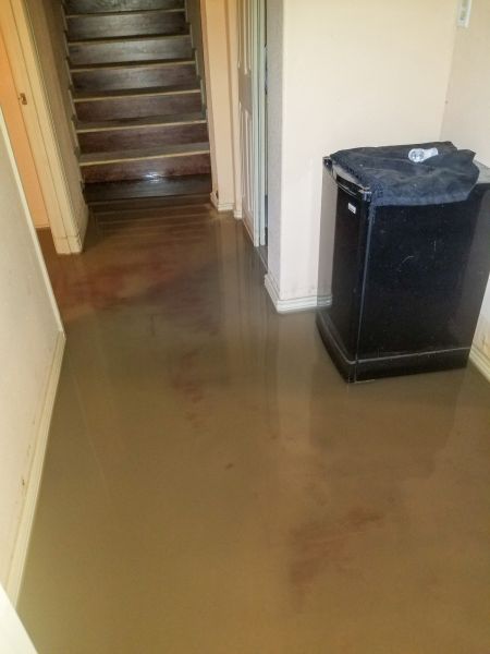 Cost of Emergency Water Removal in Carlsbad