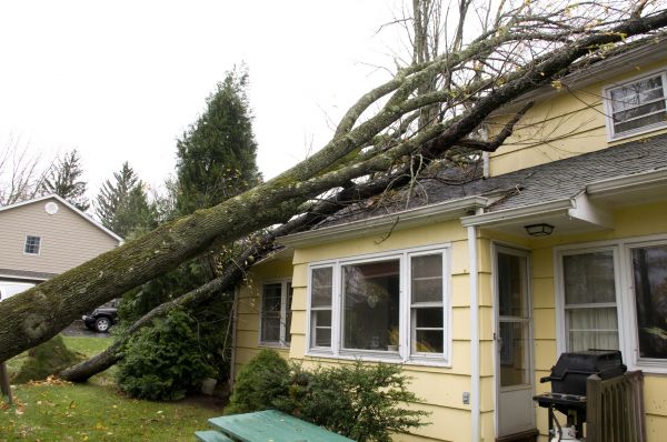 Cost of Hurricane Damage Repair in Carlsbad